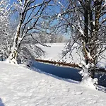 Haemmerle's Лустенау