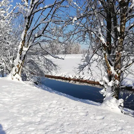 Haemmerle's Lustenau