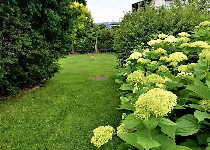 Hämmerle´s Lustenau